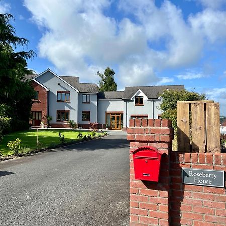 Bed and Breakfast Roseberry House Newcastle Emlyn Exterior foto